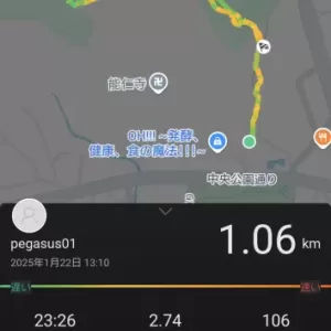 天覧山トレーニングテータのサムネイル